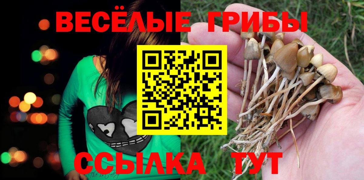 Галлюциногенные грибы мухоморы  Вход с VPN  Галлюциногенные грибы ЛСД  Нерюнгри 